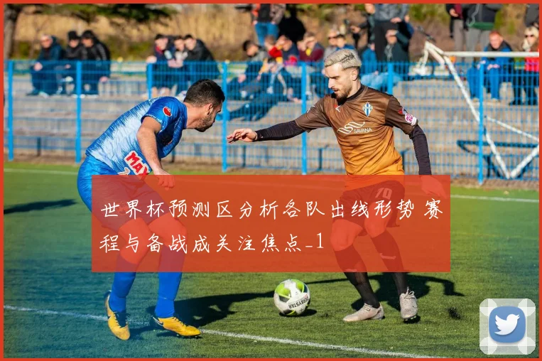 世界杯预测区分析各队出线形势 赛程与备战成关注焦点_1