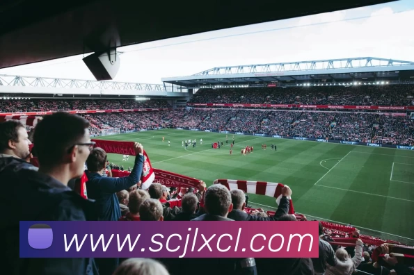 世界杯官网平台平台生态图